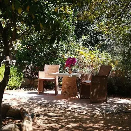 Vendégház In Guest - Traditional For Relaxation And Rejuvenation
