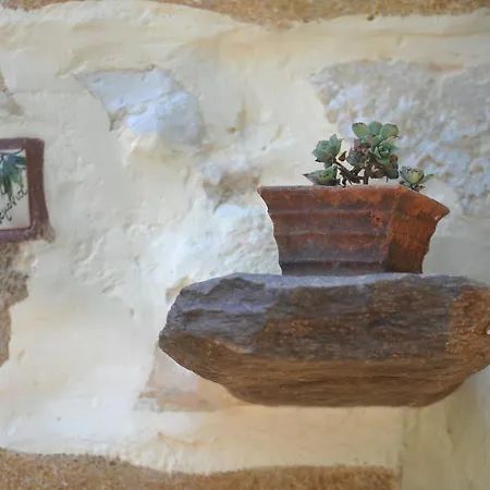 Affittacamere In Guest - Traditional For Relaxation And Rejuvenation