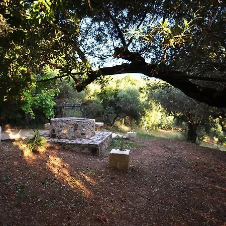 In Guest - Traditional For Relaxation And Rejuvenation Affittacamere La Canea